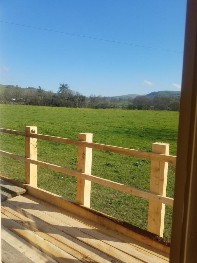 Rhydydefaid Cwt Clyd - Cosy Hut Villa Bala Kültér fotó