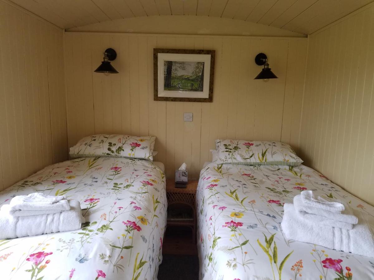 Rhydydefaid Cwt Clyd - Cosy Hut Villa Bala Kültér fotó
